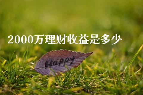 2000万理财收益是多少_https://m.fsyjjx.cn_股指期货保证金_第1张