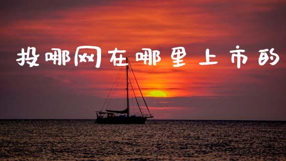 投哪网在哪里上市的_https://m.fsyjjx.cn_期货如何开户_第1张