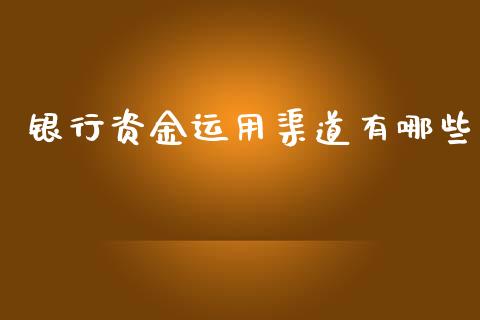 银行资金运用渠道有哪些_https://m.fsyjjx.cn_期货保证金计算_第1张