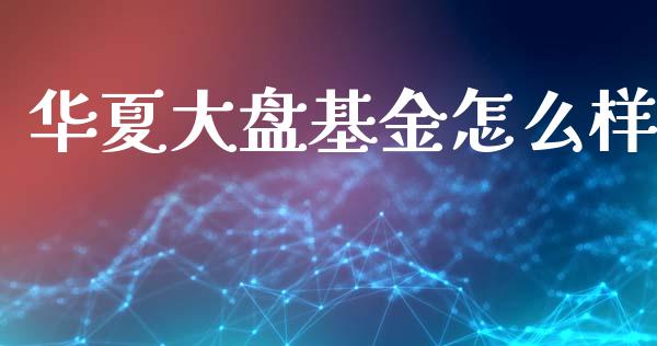 华夏大盘基金怎么样_https://m.fsyjjx.cn_期货保证金_第1张