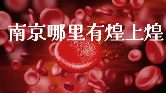 南京哪里有煌上煌_https://m.fsyjjx.cn_期货如何开户_第1张