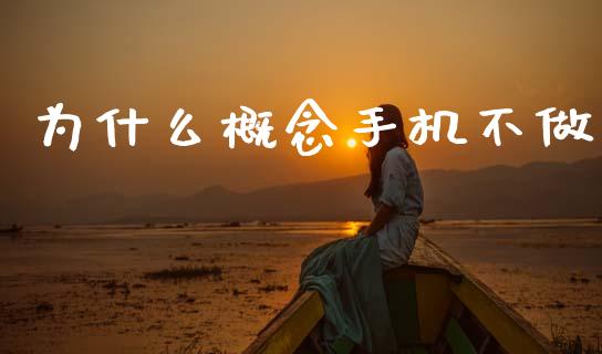 为什么概念手机不做_https://m.fsyjjx.cn_期货保证金计算_第1张