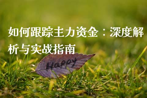 如何跟踪主力资金：深度解析与实战指南_https://m.fsyjjx.cn_期货如何开户_第1张