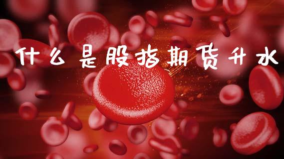 什么是股指期货升水_https://m.fsyjjx.cn_期货如何开户_第1张