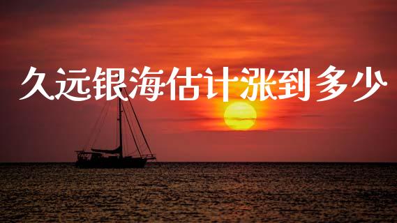 久远银海估计涨到多少_https://m.fsyjjx.cn_期货保证金_第1张