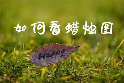 如何看蜡烛图_https://m.fsyjjx.cn_期货保证金计算_第1张