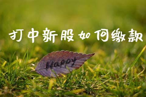打中新股如何缴款_https://m.fsyjjx.cn_股指期货保证金_第1张