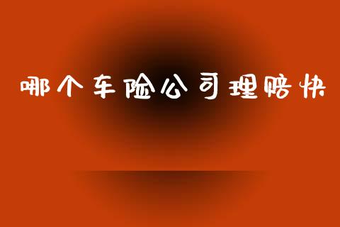 哪个车险公司理赔快_https://m.fsyjjx.cn_未分类_第1张