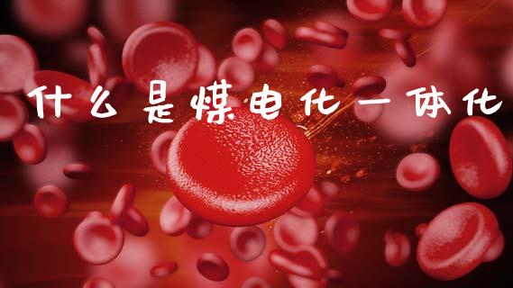 什么是煤电化一体化_https://m.fsyjjx.cn_期货保证金计算_第1张
