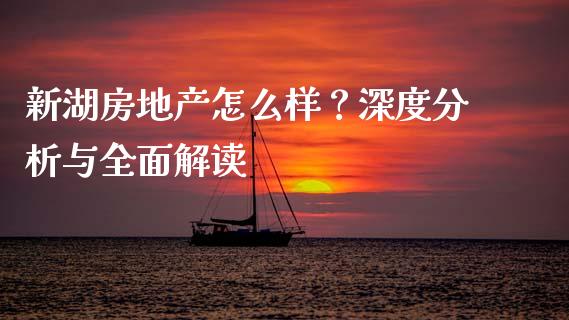 新湖房地产怎么样？深度分析与全面解读_https://m.fsyjjx.cn_期货保证金计算_第1张