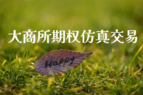 大商所期权仿真交易_https://m.fsyjjx.cn_期货如何开户_第1张