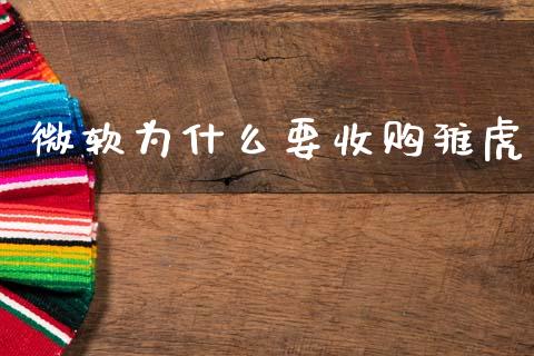微软为什么要收购雅虎_https://m.fsyjjx.cn_股指期货保证金_第1张