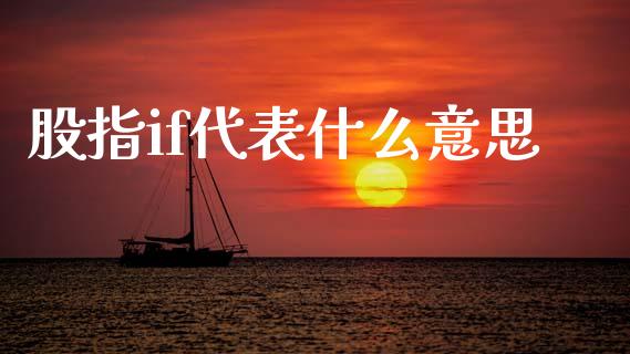 股指if代表什么意思_https://m.fsyjjx.cn_期货保证金计算_第1张