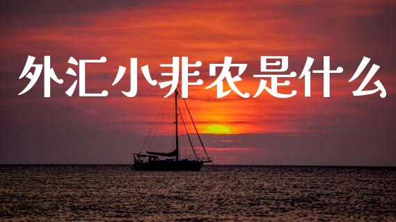 外汇小非农是什么_https://m.fsyjjx.cn_期货保证金_第1张
