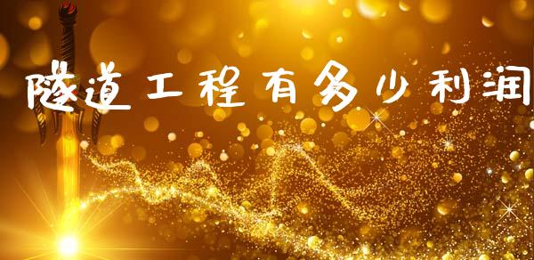 隧道工程有多少利润_https://m.fsyjjx.cn_股指期货保证金_第1张