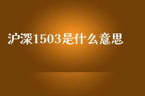 沪深1503是什么意思_期货如何开户_第1张_期货如何开户_期货保证金_期货保证金计算_股指期货保证金 沪深1503是什么意思_https://m.fsyjjx.cn_期货如何开户_第1张