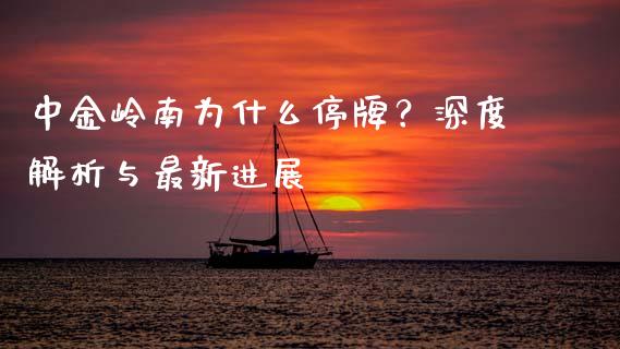 中金岭南为什么停牌？深度解析与最新进展_https://m.fsyjjx.cn_期货保证金计算_第1张