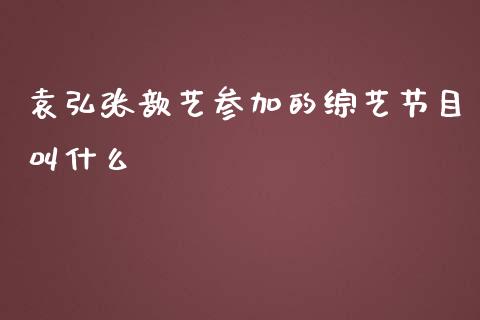 袁弘张歆艺参加的综艺节目叫什么_https://m.fsyjjx.cn_期货保证金计算_第1张