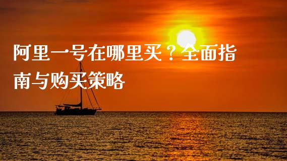 阿里一号在哪里买？全面指南与购买策略_https://m.fsyjjx.cn_期货如何开户_第1张