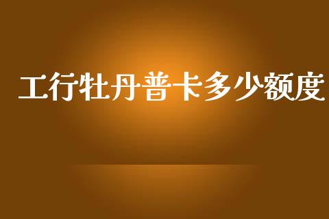 工行牡丹普卡多少额度_https://m.fsyjjx.cn_期货保证金计算_第1张