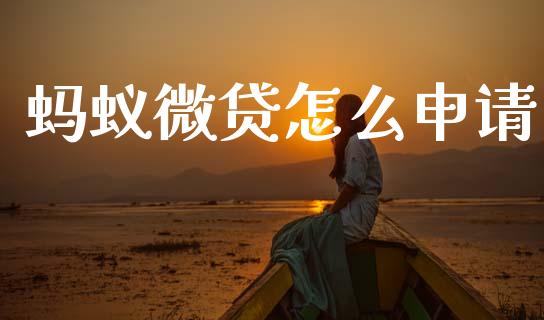 蚂蚁微贷怎么申请_https://m.fsyjjx.cn_期货如何开户_第1张