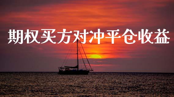 期权买方对冲平仓收益_https://m.fsyjjx.cn_期货保证金计算_第1张