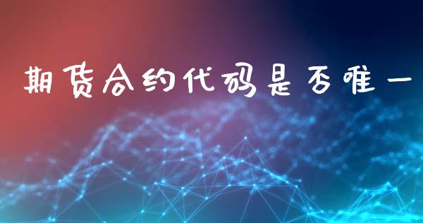 期货合约代码是否唯一_https://m.fsyjjx.cn_股指期货保证金_第1张