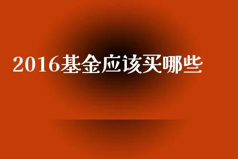 2016基金应该买哪些_https://m.fsyjjx.cn_期货保证金计算_第1张