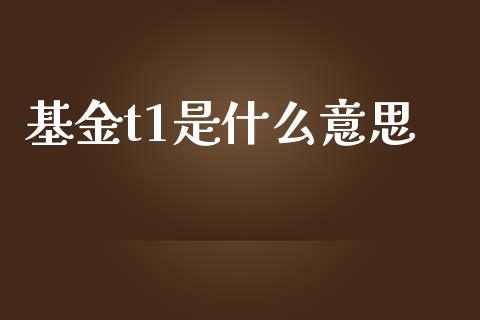 基金t1是什么意思_https://m.fsyjjx.cn_期货保证金_第1张