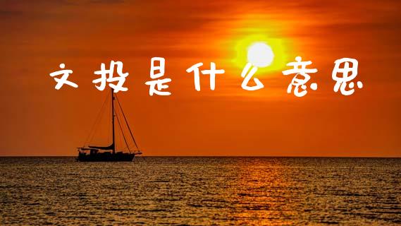 文投是什么意思_https://m.fsyjjx.cn_股指期货保证金_第1张