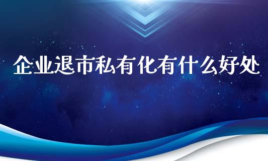 企业退市私有化有什么好处_https://m.fsyjjx.cn_期货保证金计算_第1张