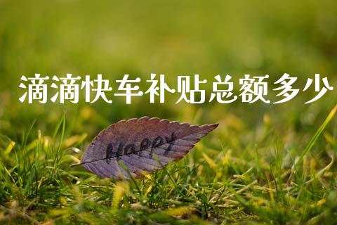 滴滴快车补贴总额多少_https://m.fsyjjx.cn_股指期货保证金_第1张