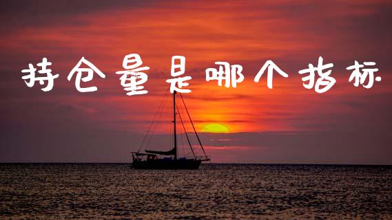 持仓量是哪个指标_https://m.fsyjjx.cn_股指期货保证金_第1张