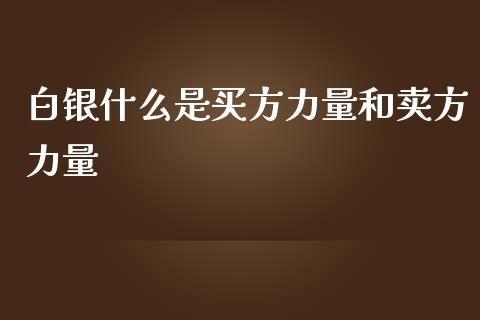 白银什么是买方力量和卖方力量_https://m.fsyjjx.cn_期货保证金_第1张
