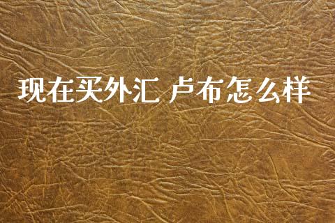 现在买外汇 卢布怎么样_https://m.fsyjjx.cn_期货如何开户_第1张