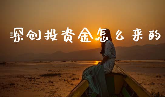 深创投资金怎么来的_https://m.fsyjjx.cn_期货保证金计算_第1张