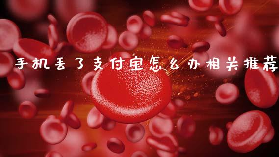 手机丢了支付宝怎么办相关推荐_https://m.fsyjjx.cn_期货保证金_第1张