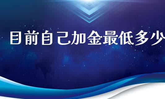 目前自己加金最低多少_https://m.fsyjjx.cn_股指期货保证金_第1张