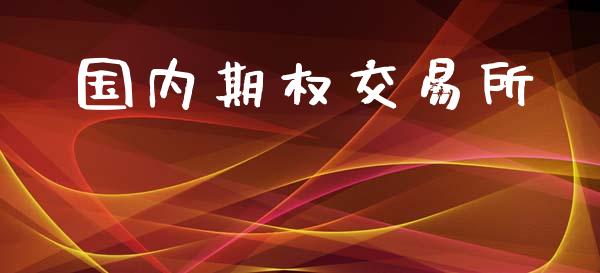 国内期权交易所_https://m.fsyjjx.cn_期货保证金计算_第1张