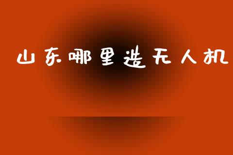 山东哪里造无人机_https://m.fsyjjx.cn_期货保证金计算_第1张