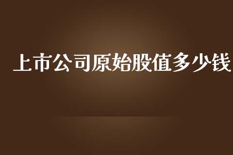 上市公司原始股值多少钱_https://m.fsyjjx.cn_股指期货保证金_第1张