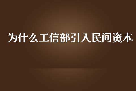 为什么工信部引入民间资本_https://m.fsyjjx.cn_期货保证金_第1张