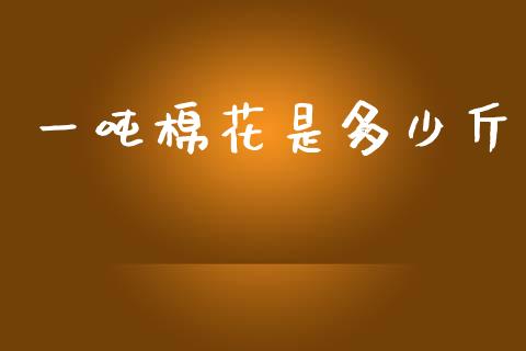 一吨棉花是多少斤_https://m.fsyjjx.cn_期货如何开户_第1张