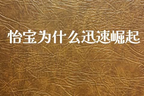 怡宝为什么迅速崛起_https://m.fsyjjx.cn_股指期货保证金_第1张