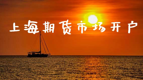 上海期货市场开户_https://m.fsyjjx.cn_期货如何开户_第1张