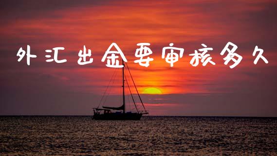 外汇出金要审核多久_https://m.fsyjjx.cn_期货保证金_第1张