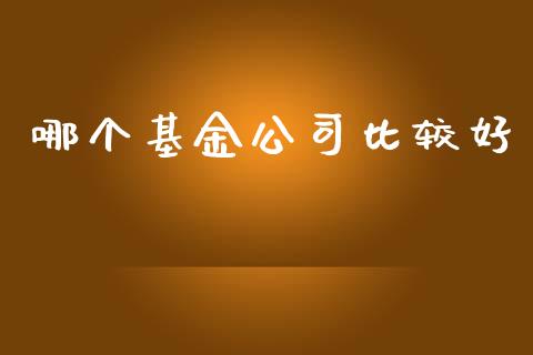 哪个基金公司比较好_https://m.fsyjjx.cn_期货保证金计算_第1张