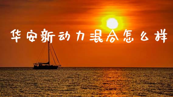 华安新动力混合怎么样_https://m.fsyjjx.cn_期货保证金_第1张