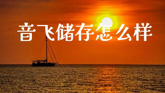 音飞储存怎么样_https://m.fsyjjx.cn_期货保证金_第1张