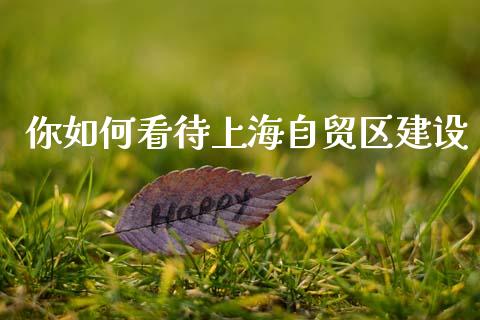 你如何看待上海自贸区建设_https://m.fsyjjx.cn_股指期货保证金_第1张